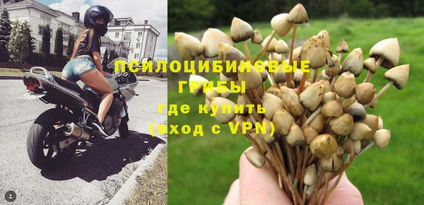 каннабис Алексин