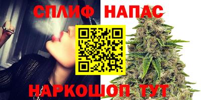 амф Шебекино