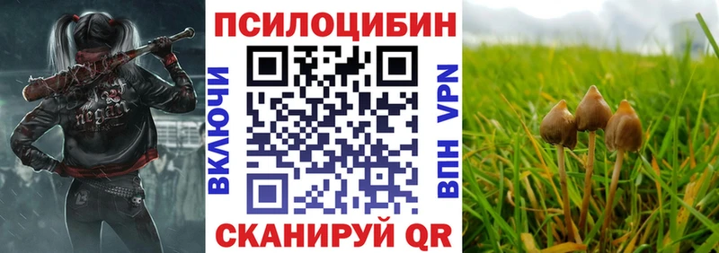 где купить   Новошахтинск  Галлюциногенные грибы GOLDEN TEACHER 