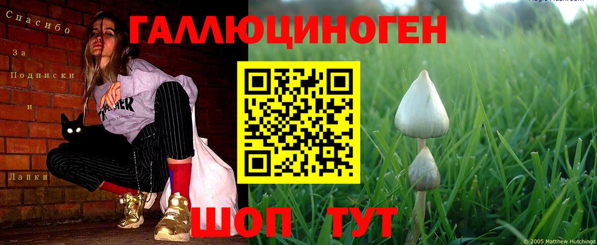 Псилоцибиновые грибы ЛСД  продажа наркотиков  Новошахтинск  Вход с VPN 
