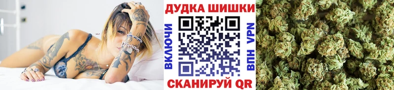 Конопля планчик Новошахтинск